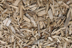 biomass boilers Skirza