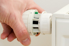 Skirza central heating repair costs